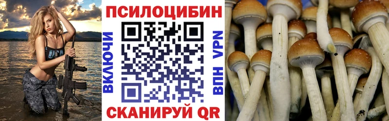 Галлюциногенные грибы Magic Shrooms закладка Дигора
